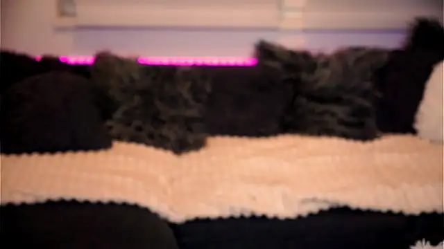 sweet rapunzell online show from February 2026 12:59:01 AM