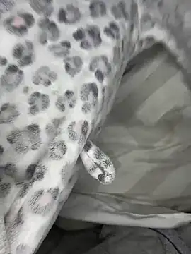 VioletxBlue online show from March 2026 11:32:01 AM