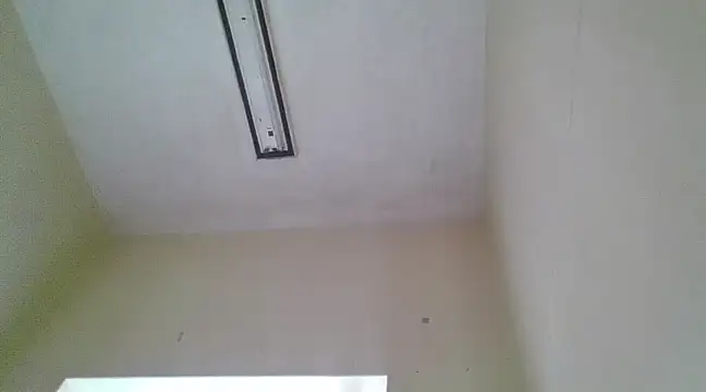 Dube501 online show from February 2025 08:03:01 AM