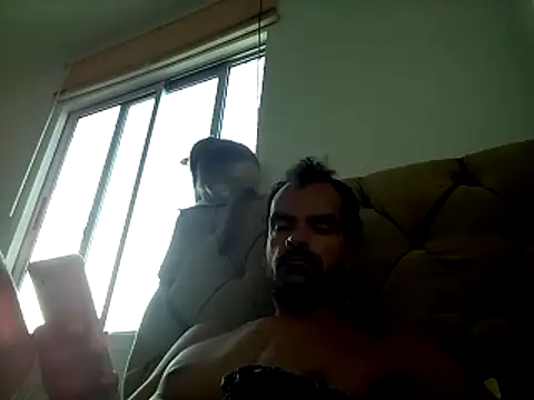 Munnoki online show from February 2026 09:17:01 AM