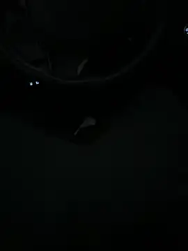 DutchPublic online show from January 2025 04:36:01 PM