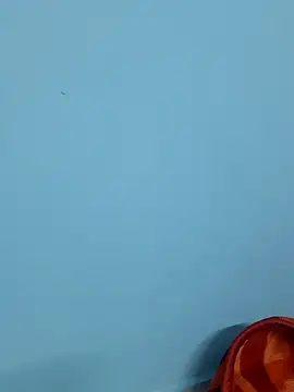 Snapshot of Divya-2007 chatting on February 2025 12:06:02 PM Divya-2007 online show from February 2025 12:06:02 PM