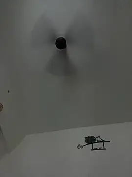 DrinkLikeFish online show from February 2025 12:19:02 AM