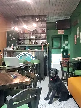 ilonna2025 online show from March 2026 11:33:01 PM