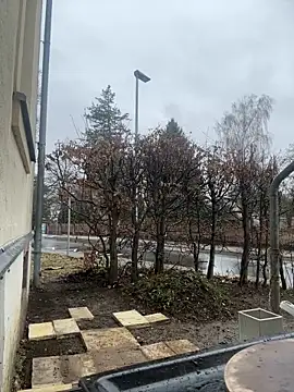 Ciara2004 online show from February 2026 01:27:02 PM