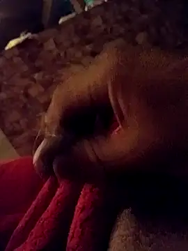 Snapshot of srecet chatting on February 2025 09:43:01 AM srecet online show from February 2025 09:43:01 AM