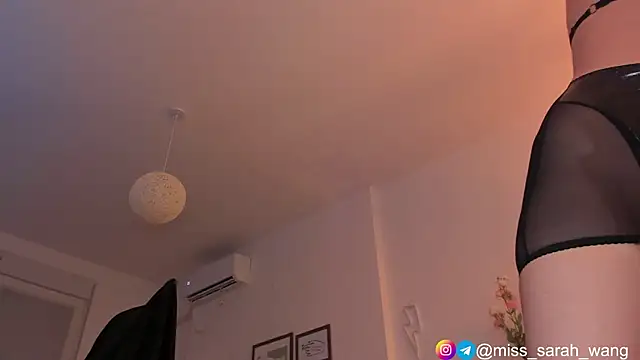 Snapshot of sarah_wang chatting on June 2026 05:36:01 PM sarah wang online show from June 2026 05:36:01 PM