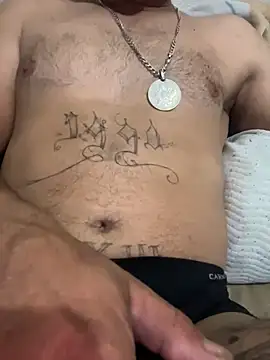 Snapshot of paullliliu chatting on December 2025 01:29:01 PM paullliliu online show from December 2025 01:29:01 PM