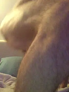 Snapshot of Pilote19 chatting on December 2025 05:51:02 PM Pilote19 online show from December 2025 05:51:02 PM