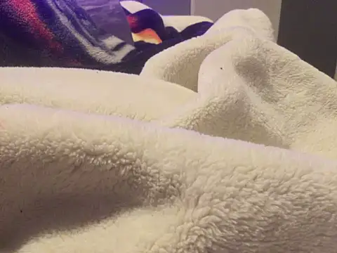 Snapshot of Pilote19 chatting on January 2026 12:20:02 PM Pilote19 online show from January 2026 12:20:02 PM