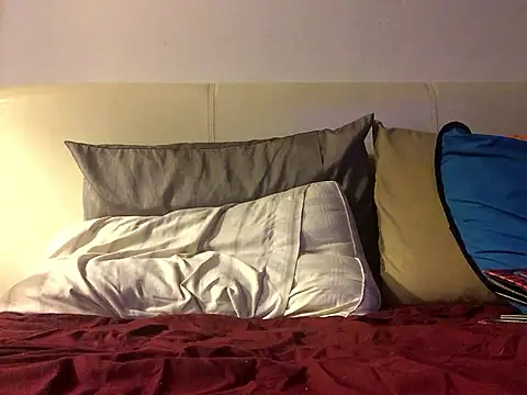 Snapshot of Pilote19 chatting on January 2026 05:56:01 AM Pilote19 online show from January 2026 05:56:01 AM