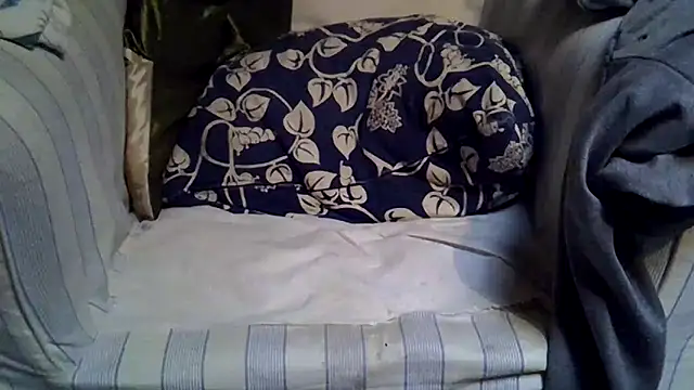 Damn bro23 online show from November 2025 08:14:01 AM