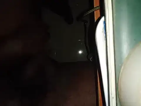 Snapshot of world_bigdick1 chatting on February 2025 05:14:01 PM world bigdick1 online show from February 2025 05:14:01 PM