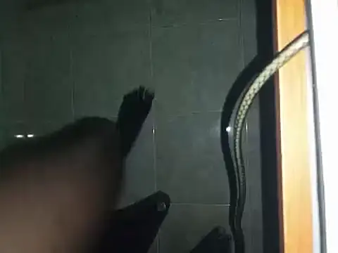 Snapshot of world_bigdick1 chatting on March 2025 06:48:01 AM world bigdick1 online show from March 2025 06:48:01 AM