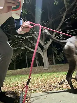 sexyhotstud12 online show from February 2025 04:26:02 AM