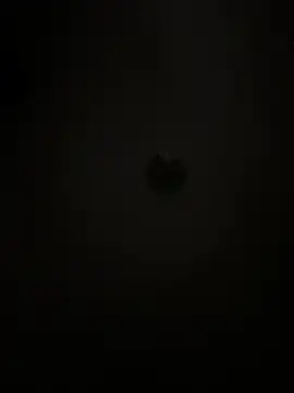 Boneca25 online show from February 2026 08:30:02 AM