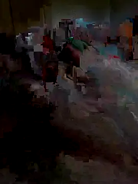 Ariba270 online show from November 2025 09:55:02 AM