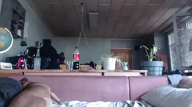 Snapshot of Astrid-Gilbert chatting on February 2025 07:56:02 AM Astrid-Gilbert online show from February 2025 07:56:02 AM