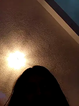 Snapshot of bri_ali chatting on February 2025 11:57:02 PM bri ali online show from February 2025 11:57:02 PM