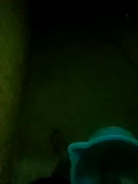 Night View online show from November 2025 05:33:02 PM