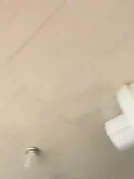 ashanty queen online show from March 2025 03:18:02 PM