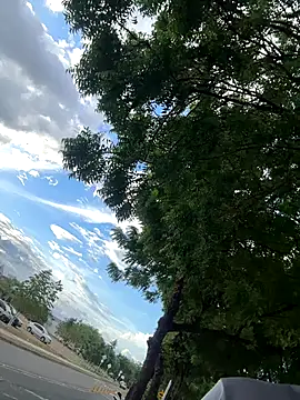 arevalo1124 online show from November 2025 09:27:01 PM