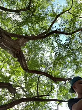 arevalo1124 online show from December 2025 03:52:01 PM