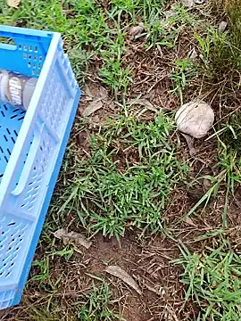 Snapshot of RichardHard_1 chatting on January 2026 09:07:02 PM RichardHard 1 online show from January 2026 09:07:02 PM