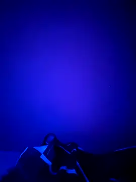 Dehtrans online show from March 2026 09:15:01 AM