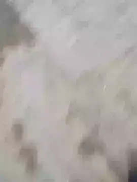 Snapshot of Hot_funky_boy chatting on February 2025 12:47:01 PM Hot funky boy online show from February 2025 12:47:01 PM