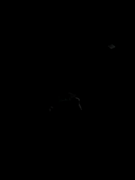 Codybugs0206 online show from November 2025 11:59:01 PM