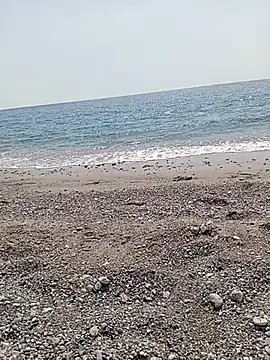 NAvoglia online show from July 2026 01:28:01 PM
