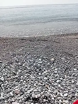 NAvoglia online show from July 2026 01:46:02 PM