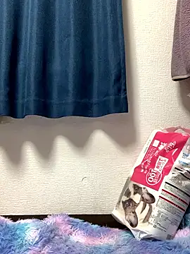 Snapshot of PINO_pino_01 chatting on November 2025 05:45:02 PM PINO pino 01 online show from November 2025 05:45:02 PM