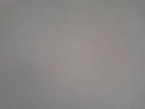 beicao10 online show from February 2025 04:19:02 AM