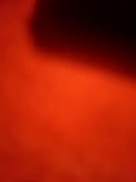 dominationmybigdick online show from September 2025 11:45:01 AM