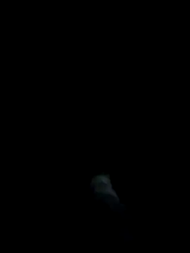 dominationmybigdick online show from March 2026 11:15:01 PM