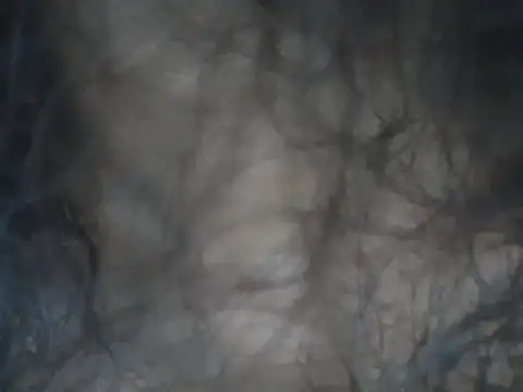 alexiaross96 online show from March 2026 05:08:01 PM