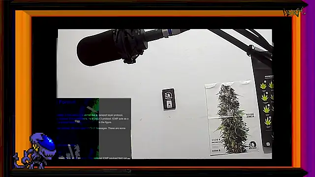 Snapshot of ReyDeBotones chatting on March 2025 11:38:02 PM ReyDeBotones online show from March 2025 11:38:02 PM