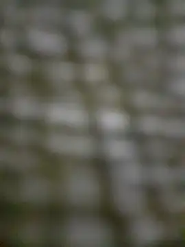 Mineirinho043 online show from February 2025 04:48:01 PM