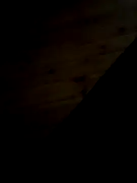 Snapshot of Arabian chatting on February 2025 09:46:01 PM Arabian online show from February 2025 09:46:01 PM