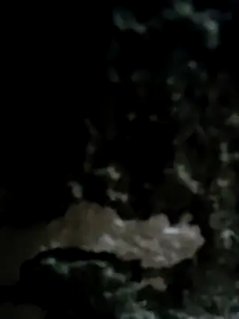 iamriturani online show from February 2025 11:10:02 AM