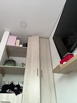 Snapshot of KarolVega- chatting on February 2025 04:11:02 PM KarolVega- online show from February 2025 04:11:02 PM