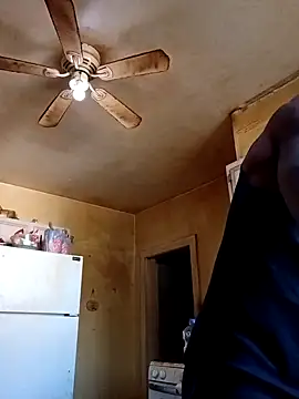 birdg online show from November 2025 06:41:02 PM