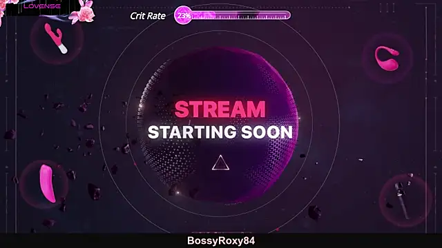 bossyroxy84 online show from February 2025 02:31:01 AM