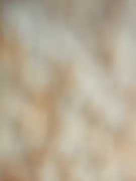 Snapshot of maialani chatting on October 2025 09:40:01 AM maialani online show from October 2025 09:40:01 AM