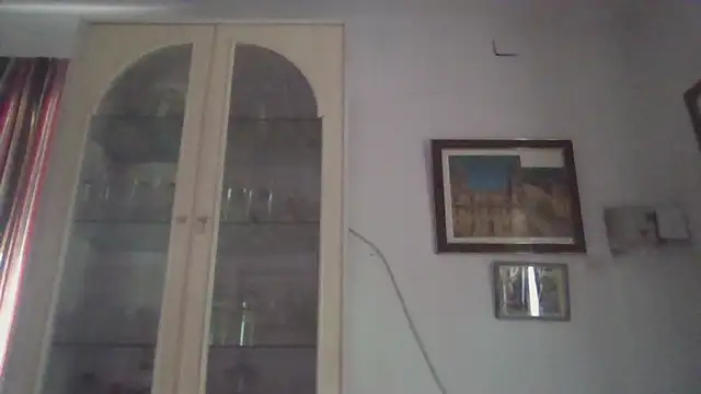 Snapshot of llopaco chatting on November 2025 12:11:01 PM llopaco online show from November 2025 12:11:01 PM