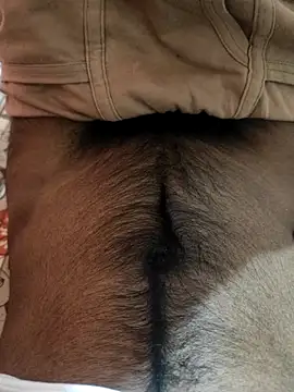 cocktony online show from March 2025 02:18:02 PM