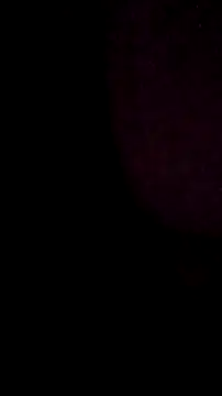 salchichon 69 online show from March 2026 08:31:01 AM