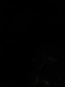 salchichon 69 online show from August 2026 08:38:01 AM